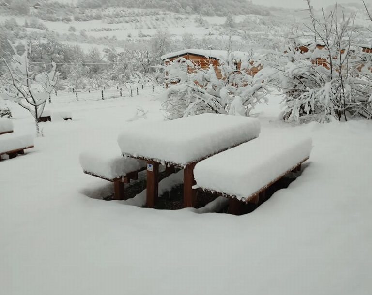 Ni u januaru nije bilo ovakvog KIJAMETA: Snijeg u Peckoj kod Mrkonjić Grada zatrpao automobile i polomio voćke (FOTO)