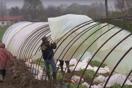 "NIŠTA NAM NEĆE OSTATI" Vjetar uništio plastenike u Semberiji, poljoprivrednici očajni (FOTO,VIDEO)