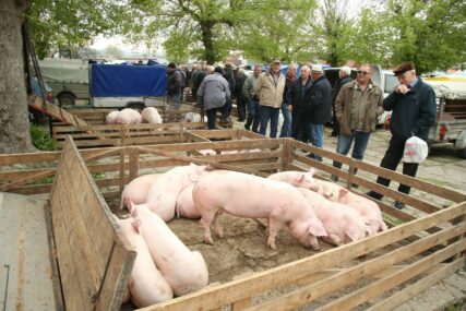 NESIGURAN PROIZVOD Povlači se dopunska krmna smjesa za svinje zbog salmonele