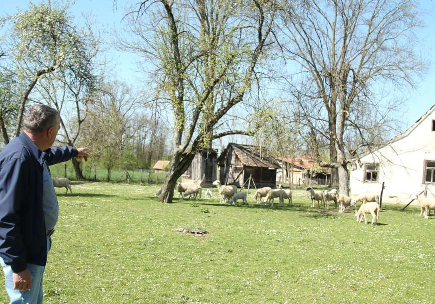 Bivši funkcioner i njegove ovčice: Bio je desna ruka Milorada Dodika, a evo gdje sada živi (FOTO)