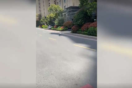 "Prije ćemo umrijeti od gladi nego od korone" Dronovi i psi roboti nadgledaju lokdaun u Šangaju, stanovnici bijesni (VIDEO)