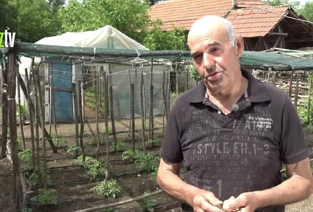 "Glad mi je obilježila djetinjstvo, znam šta to znači" Bogosav i Dragica godinama uzgajaju voće i povrće, a sve što proizvedu - poklone (VIDEO)