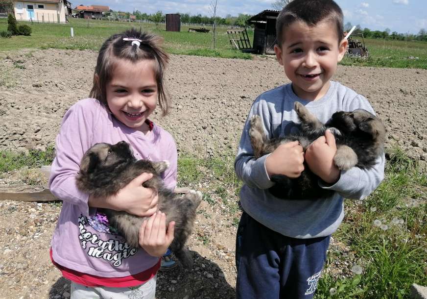 Djeca iz Vrbaške zbrinjavaju napuštene životinje: Prisvojili psiće, pa se od njih ne odvajaju (FOTO)