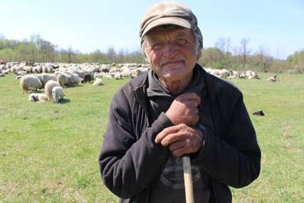 Perinih četrdeset zima za ovcama: Posljednji nomadi sa Manjače, na povratku kući (FOTO)