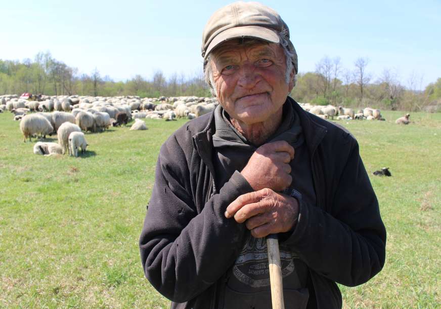 Perinih četrdeset zima za ovcama: Posljednji nomadi sa Manjače, na povratku kući (FOTO)