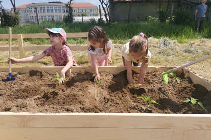 Najmlađi se uče poljoprivredi: Otvorena prva sezona "Malih baštovana" (FOTO)