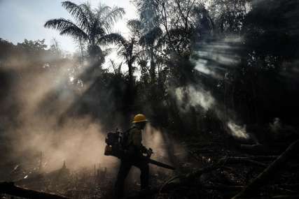 Zaštita životne sredine na konopcima: Iskrčeno više od 1.000 kilometara kvadratnih šume u Amazoniji