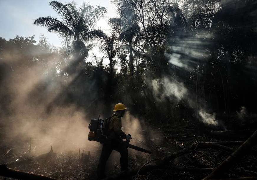 Zaštita životne sredine na konopcima: Iskrčeno više od 1.000 kilometara kvadratnih šume u Amazoniji