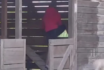 Posvađao se s Aleks: Dejan razvalio ogradu, odlučio da bježi iz rijalitija (VIDEO)