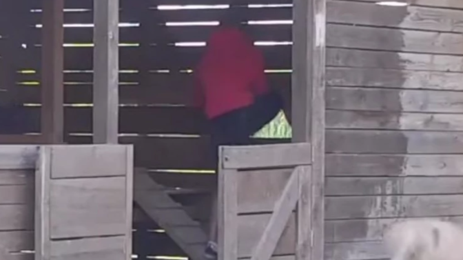 Posvađao se s Aleks: Dejan razvalio ogradu, odlučio da bježi iz rijalitija (VIDEO)
