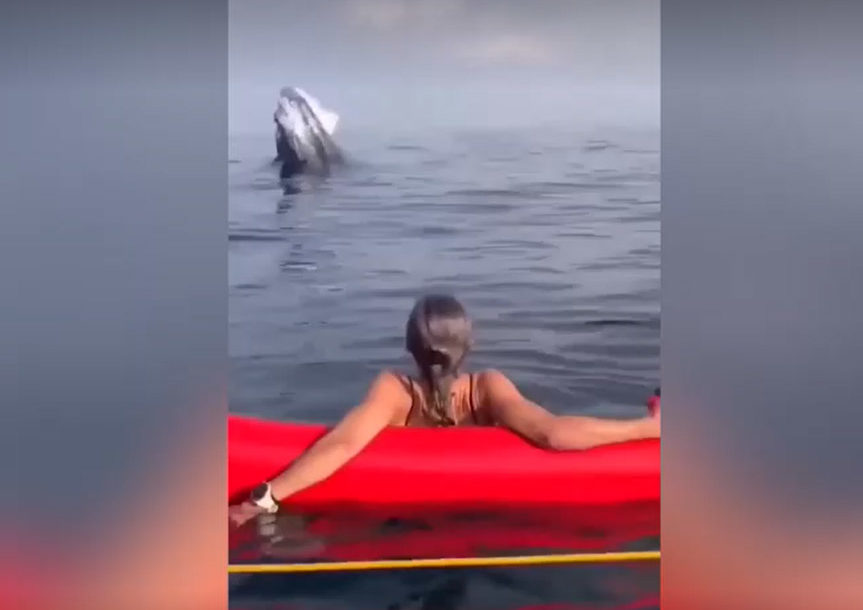 Dok su uživale u okeanu, IZRONILO JE ČUDO: Čuli su se krici, niko ne zna šta se dogodilo sa djevojkama (VIDEO)