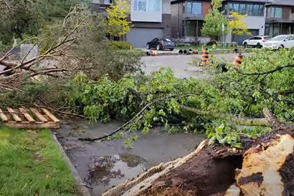 Oluja obarala drveće: Kroz grad prošlo nekoliko tornada, četiri osobe izgubile život (VIDEO)