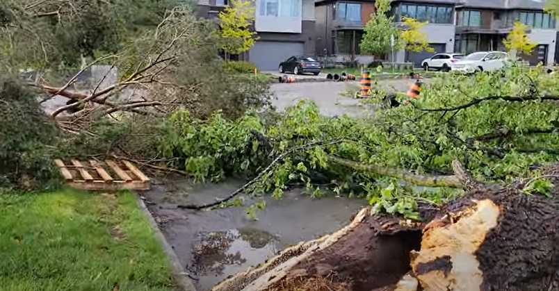Oluja obarala drveće: Kroz grad prošlo nekoliko tornada, četiri osobe izgubile život (VIDEO)