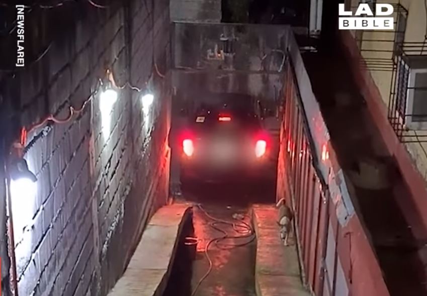 Više nema tih problema: Filipinac napravio "najkomplikovanije" parking mjesto za svoj automobil (VIDEO)