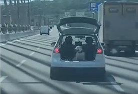 "KAKO JE SLADAK" Nesvakidašnji prizor u vožnji, da li je pas neodoljiv ili je ovo rizik po bezbjednost (VIDEO)