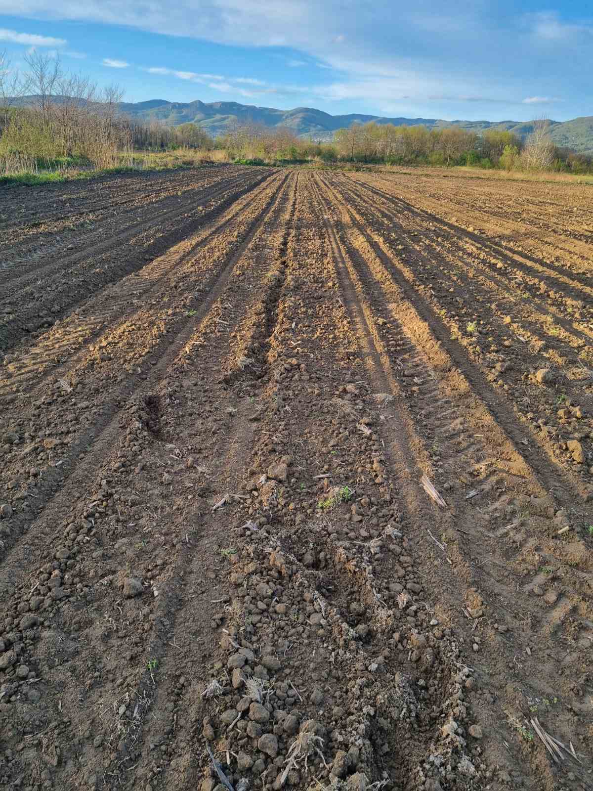 FOTO: USTUPLJENO