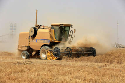 Sve zbog rata u Ukrajini: Svijet ima zaliha pšenice za još samo deset nedjelja