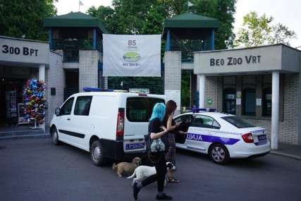 Dojava o BOMBI u Zoološkom vrtu u Beogradu, u toku evakuacija