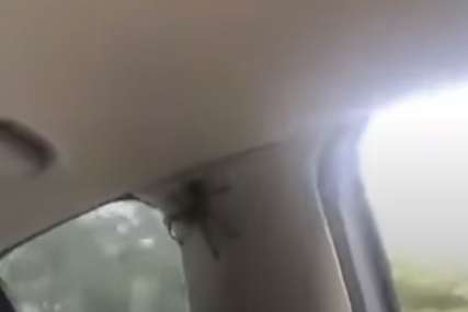 Prizor od kojeg hvata jeza: Porodica u vožnji otkrila ogromnog pauka u autu (VIDEO)