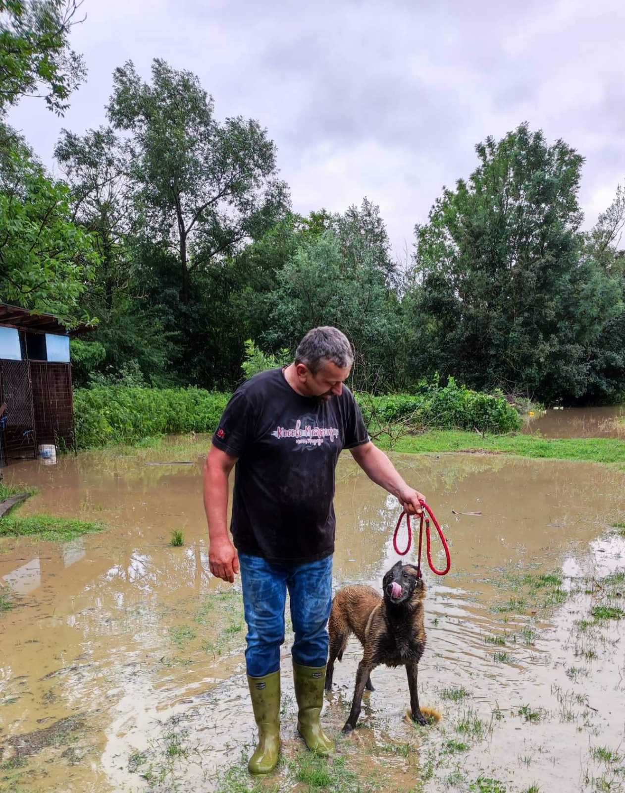 FOTO: USTUPLJENA FOTOGRAFIJA