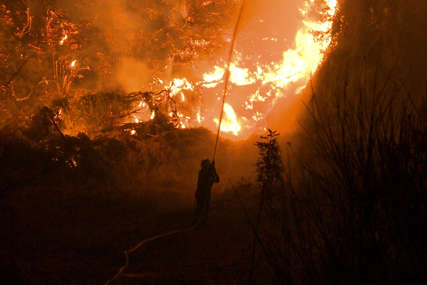 Bore se sa vatrenom stihijom: Grčki vatrogasci i dalje se gase požare u Fokidi i na Peloponezu