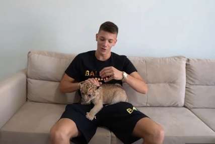Jutjuber ne prestaje da šokira: Kupio lava i sa njim dijeli krevet (VIDEO)
