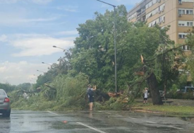 Jako nevrijeme pogodilo Novi Sad: Olujni vjetar oborio stabla, potop na ulicama (VIDEO, FOTO)