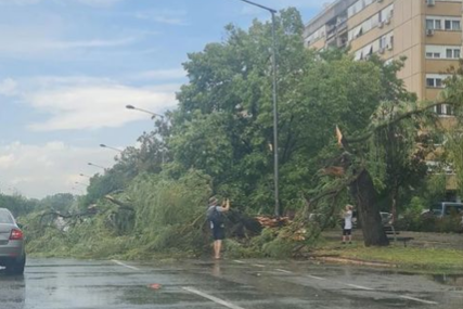 Jako nevrijeme pogodilo Novi Sad: Olujni vjetar oborio stabla, potop na ulicama (VIDEO, FOTO)