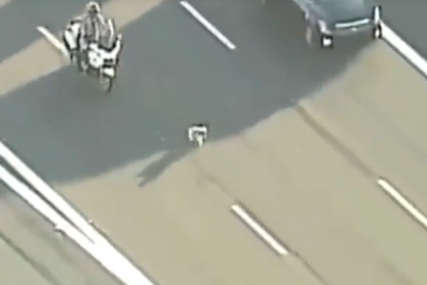 DRAMA NA AUTO-PUTU Pas iskočio kroz prozor vozila, vlasnica se zaustavila i jurila da ga uhvati (VIDEO)