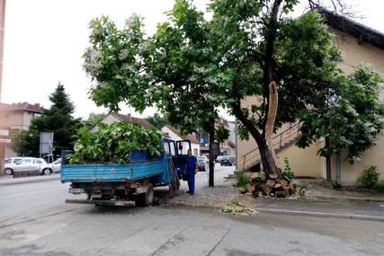 Jaka kiša i vjetar protutnjali Prijedorom: Nevrijeme za sobom ostavilo polomljena stabala i podrume pune vode (FOTO)