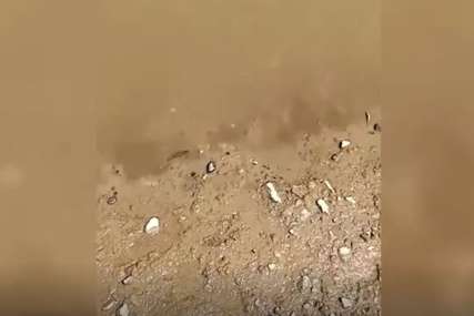 Jeziv prizor: Mrtva riba pluta priobaljem, hemikalije se izlile u rijeku (VIDEO)