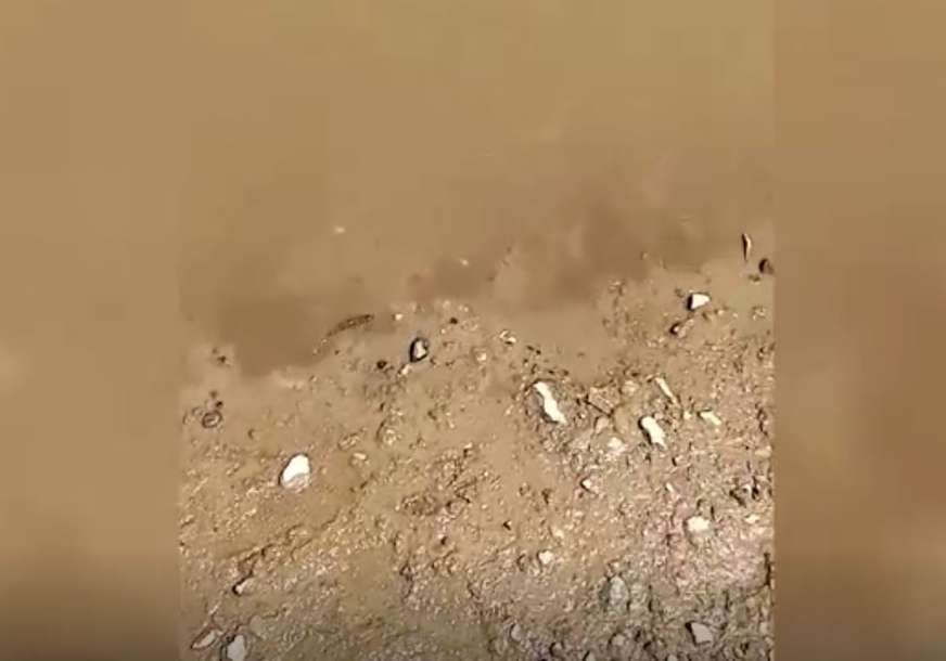 Jeziv prizor: Mrtva riba pluta priobaljem, hemikalije se izlile u rijeku (VIDEO)