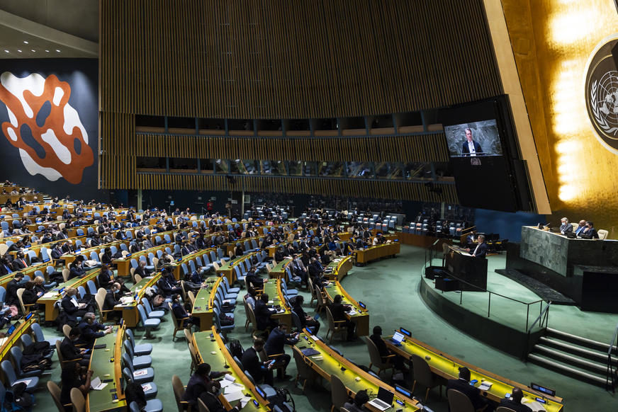 PET NOVIH Generalna skupština UN izabrala nestalne države članice Savjeta bezbjednosti