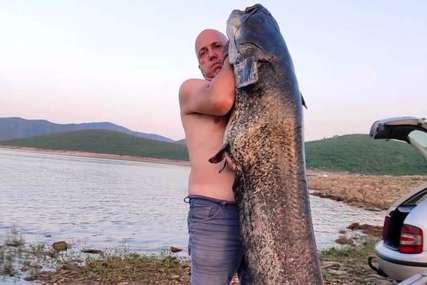 KAKAV ULOV Trebinjci na Bilećkom jezeru uhvatili soma od 50 kilograma (FOTO)