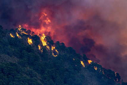 GORI SJEVER ŠPANIJE Zbog velikog šumskog požara evakuisano osam sela (VIDEO)