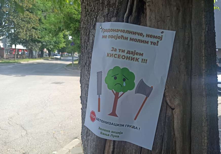 Ne žele sječu drveća po gradu: Plakati sa jasnom porukom osvanuli po Banjaluci