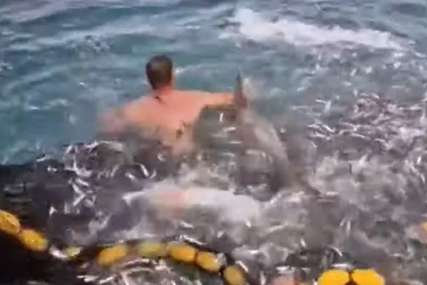 ODMAH PRISKOČILI U POMOĆ Ribari iz Rijeke uspjeli spasiti delfina koji se zapetljao u mrežu (VIDEO)
