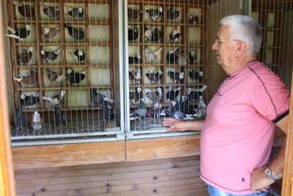 Carstvo životinja u dvorištu u Dubravama: Svjetski šampion u golubarstvu stekao prijatelje širom planete (FOTO)