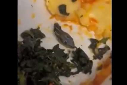 Da ti se prevrne želudac: Unakažena glava zmije pronađena u obroku za posadu aviona (VIDEO)