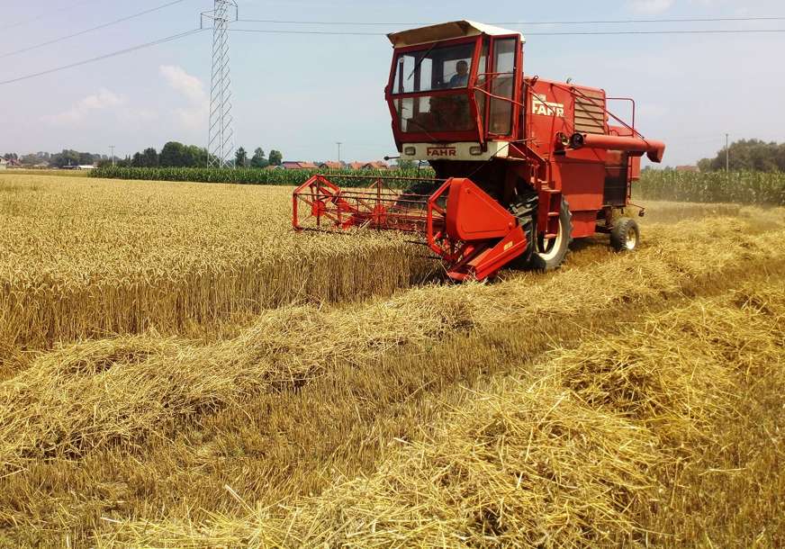 "Pšenica berzanska roba, ne možemo uticati na otkupnu cijenu" Ministar Minić o žetvi u Republici Srpskoj
