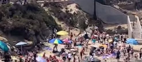 “Naprosto im se mora dati prostora “Evo kako su morski lavovi tjerali kupače sa plaže (VIDEO)