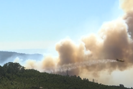 Evakuacija stanovništva: Veliki šumski požari zahvatili Španiju i Portugal