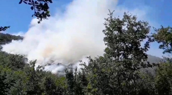 Širi se požar u Herceg Novom: Vjetar otežava gašenje vatre, čeka se i helikopter (FOTO)