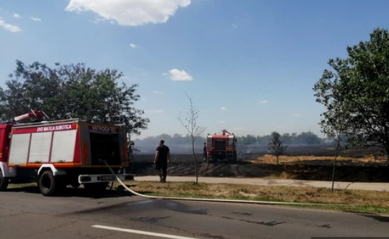 U danu 11 intervencija: Najavljene veliki vrućine, vatrogasci apeluju da se ne pali vatra na otvorenom