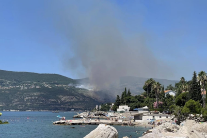 Rambo Amadeus reagovao na požare u Crnoj Gori: Treba li da pišemo peticiju da se kupe kanaderi?