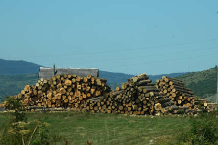 Dok primjetite bude kasno: Kako se zaštititi od prevara prilikom kupovine drva