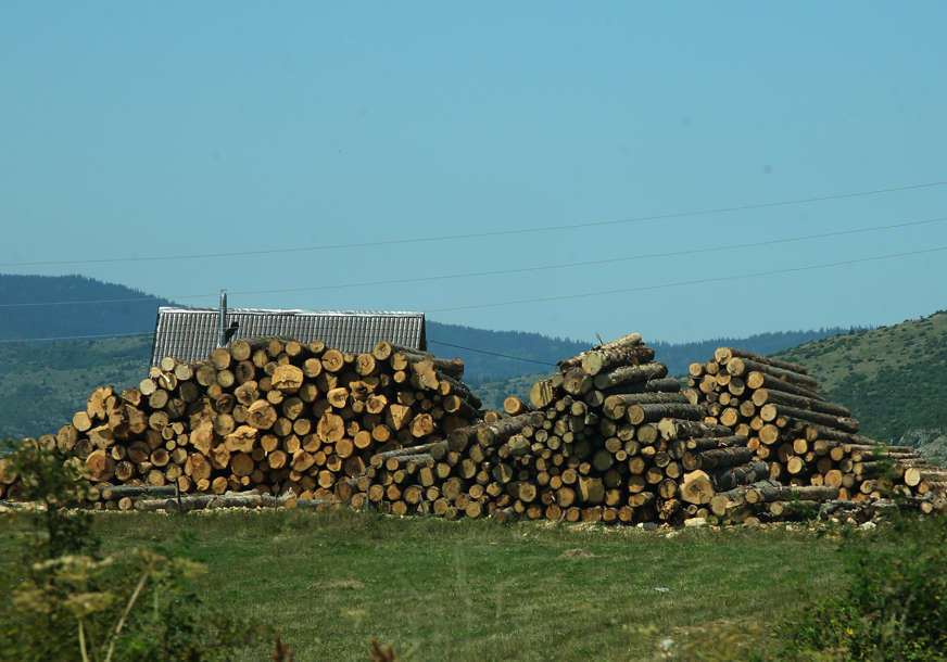 Dok primjetite bude kasno: Kako se zaštititi od prevara prilikom kupovine drva