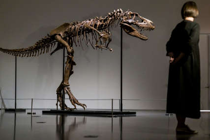 RIJEDAK EKSPONAT Skelet dinosaurusa prodat za više od 6 miliona dolara