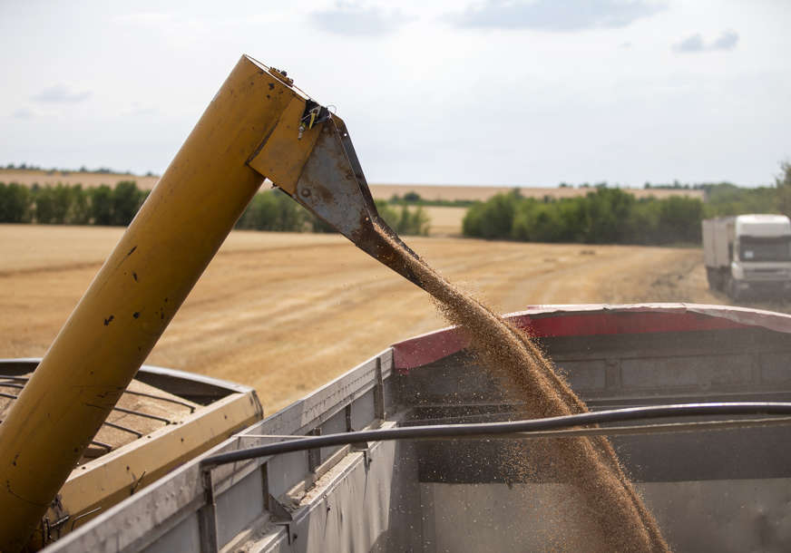 Rat učinio svoje: Uvoz kukuruza iz Ukrajine manji za 35 odsto