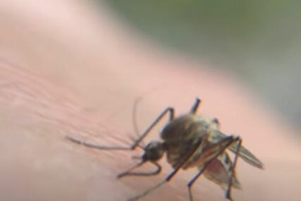 Evo zašto neke osobe napadaju, a od drugih stalno bježe: Postoje četiri tipa ljudi kojim komarci češće ispijaju krv nego drugima